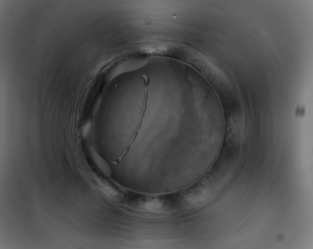 X0000101450600200807071408