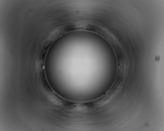 X0000101450601200807071407