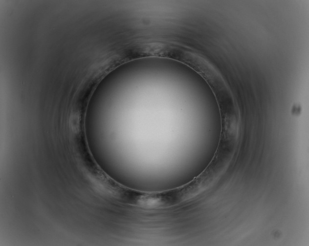 X0000101450602200807071407