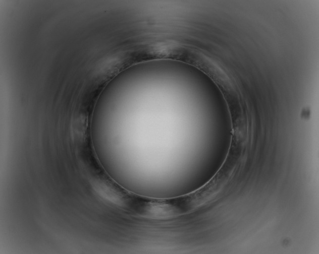 X0000101450605200807071407