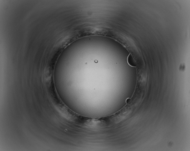 X0000101450607200807071407
