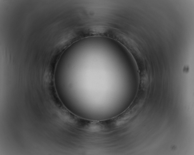 X0000101450608200807071407