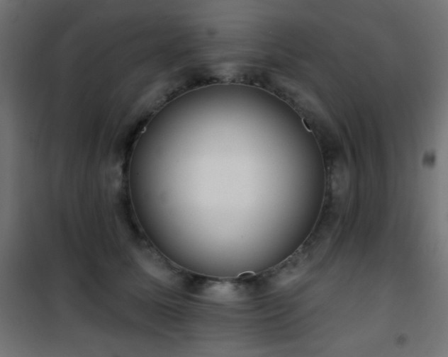 X0000101450611200807071407