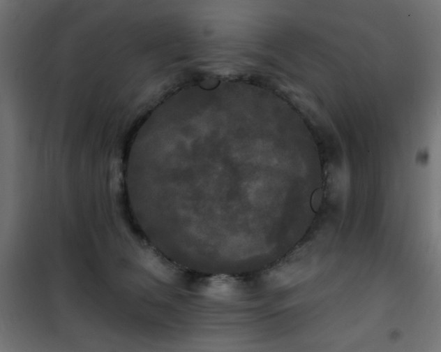 X0000101450612200807071407