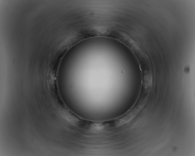 X0000101450613200807071407