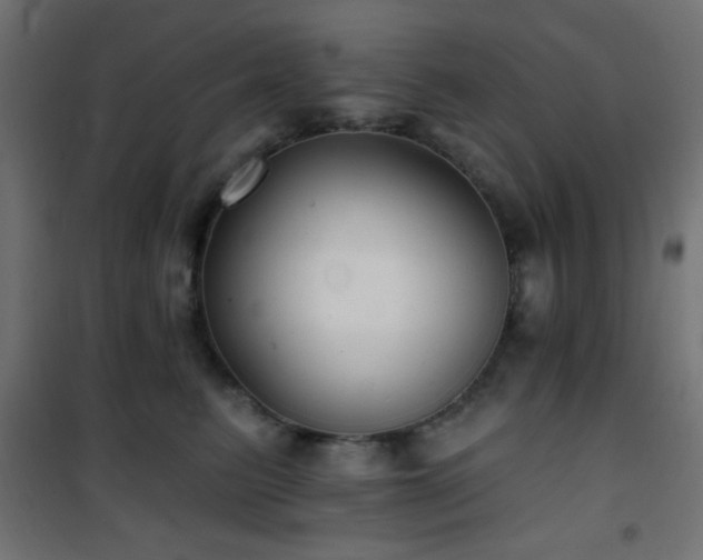 X0000101450615200807071407
