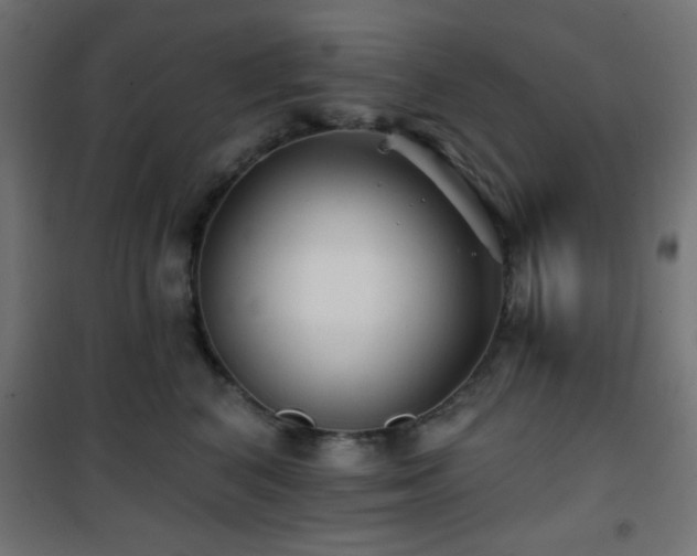 X0000101450616200807071407