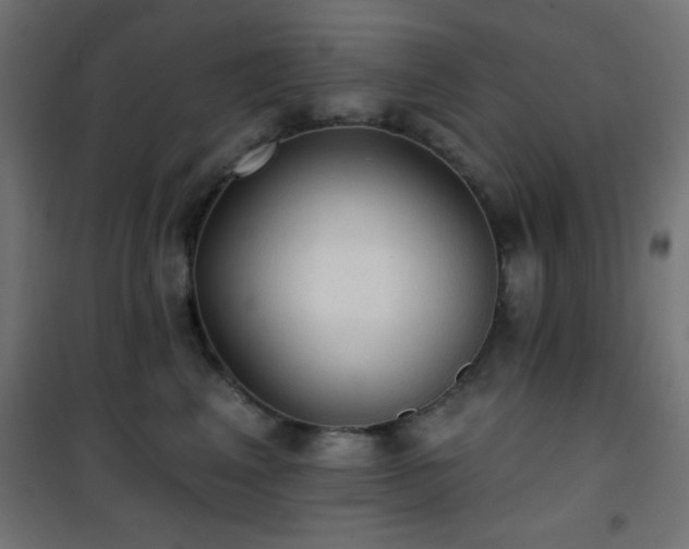 X0000101450617200807071407