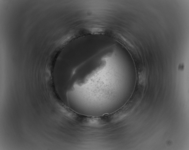 X0000101450618200807071407