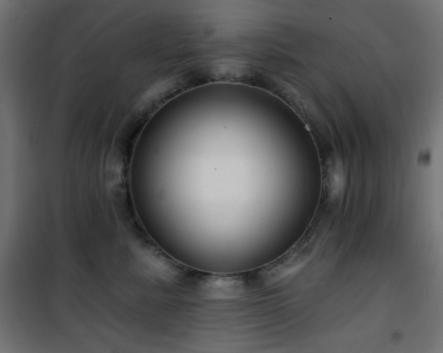 X0000101450619200807071407