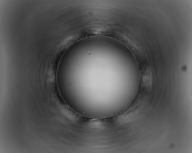 X0000101450620200807071407