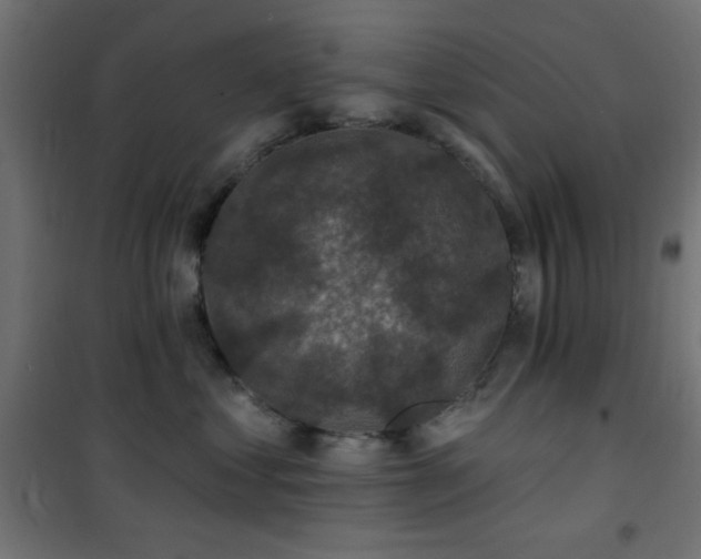 X0000101450621200807071407