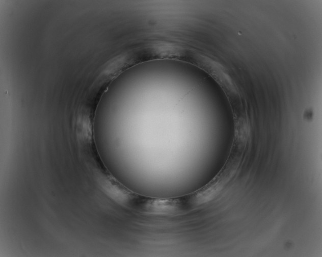 X0000101450622200807071407