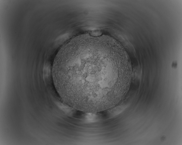 X0000101450623200807071407