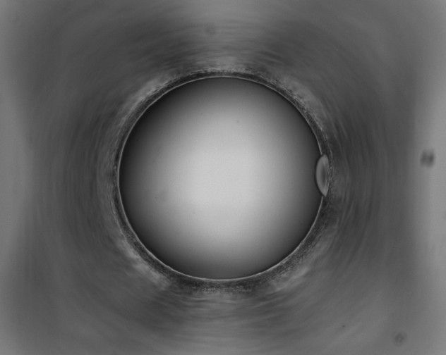 X0000101450625200807071407