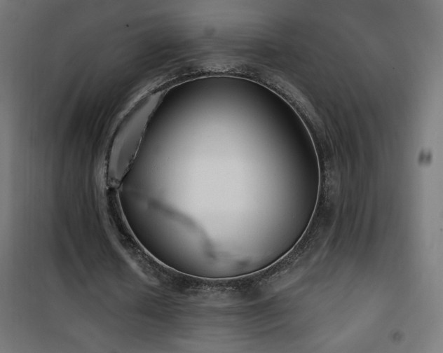 X0000101450626200807071407