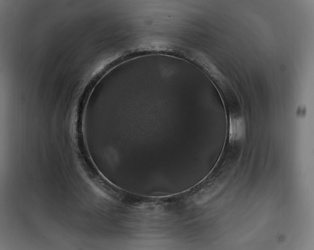 X0000101450627200807071407