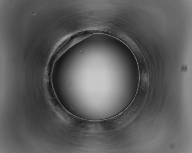X0000101450628200807071407