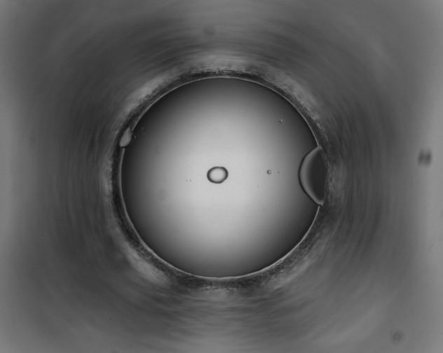 X0000101450629200807071407