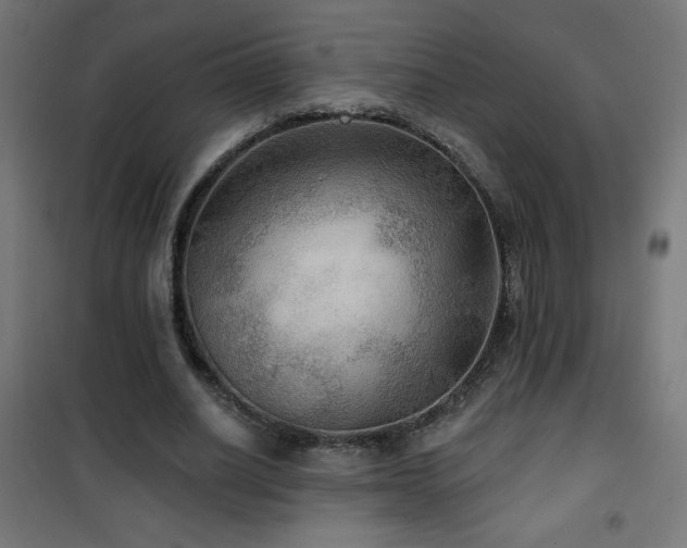 X0000101450630200807071407