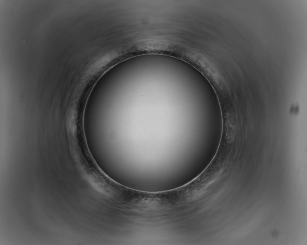 X0000101450631200807071407