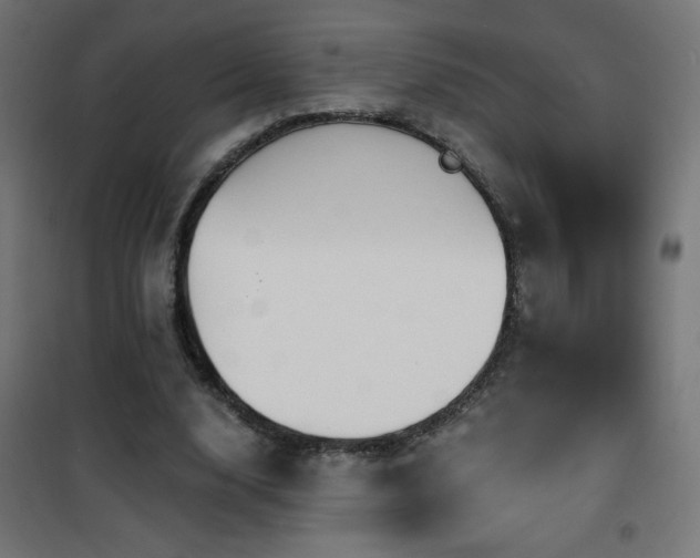 X0000101450632200807071407
