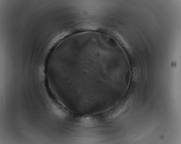 X0000101450634200807071407