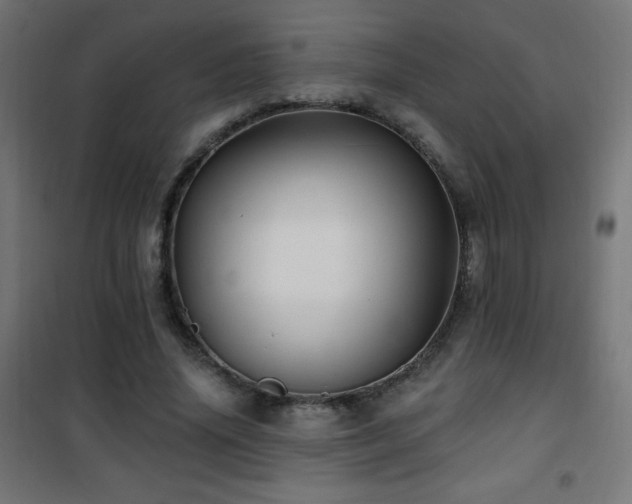 X0000101450636200807071407