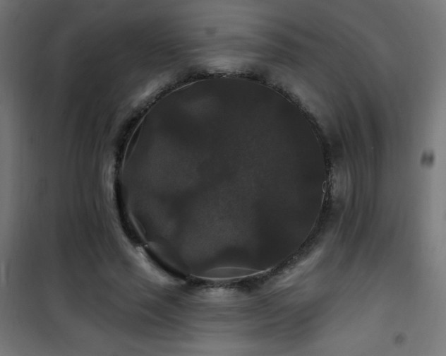 X0000101450637200807071407