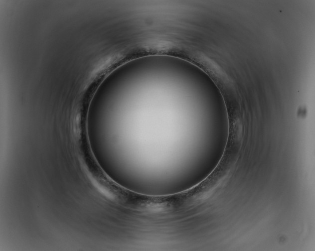 X0000101450638200807071407