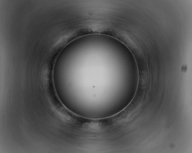 X0000101450639200807071407