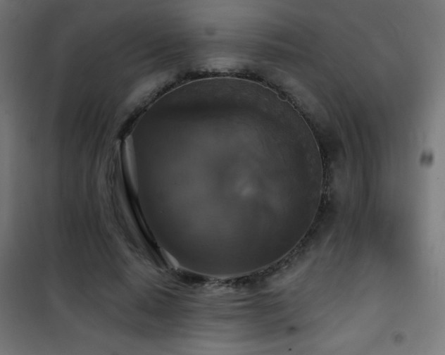 X0000101450640200807071407