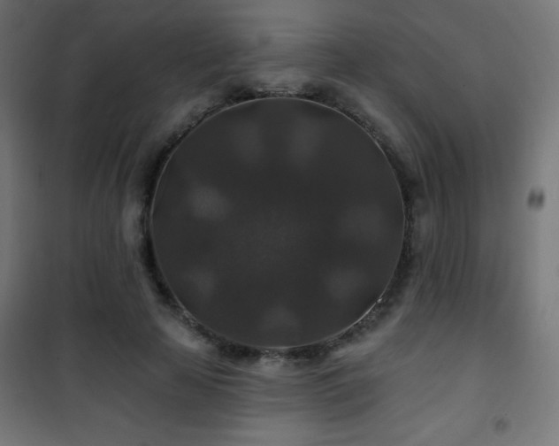 X0000101450641200807071407