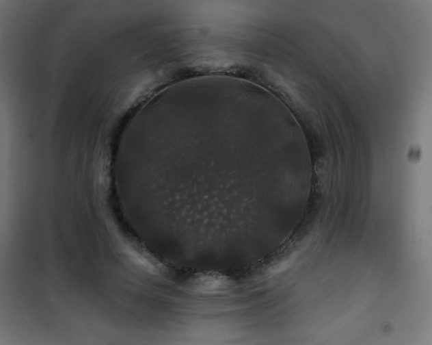 X0000101450642200807071407