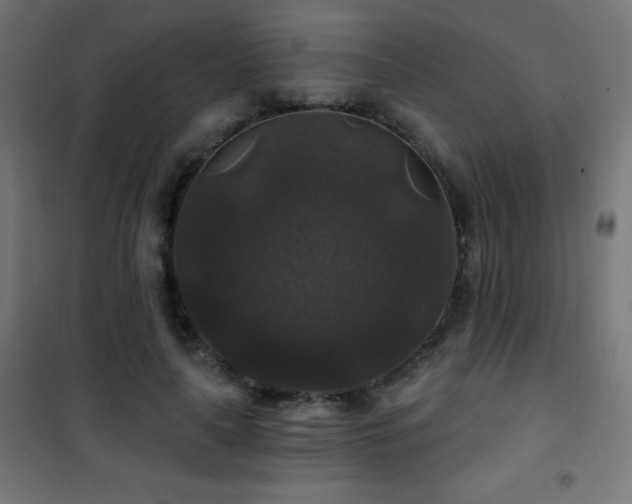 X0000101450643200807071407