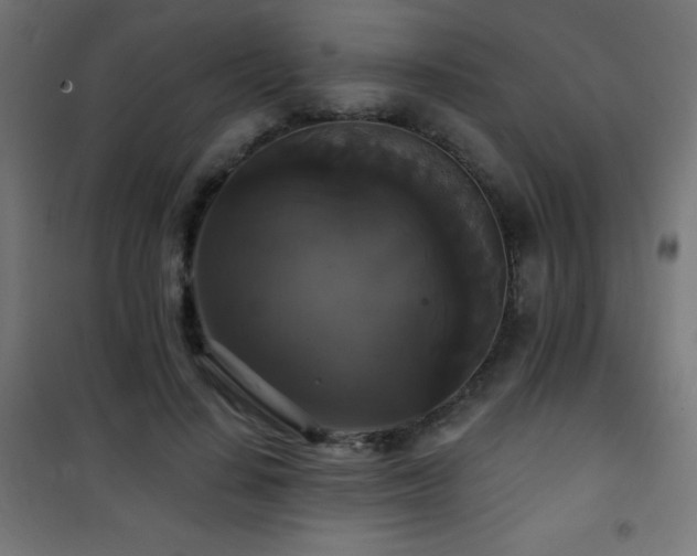 X0000101450644200807071407
