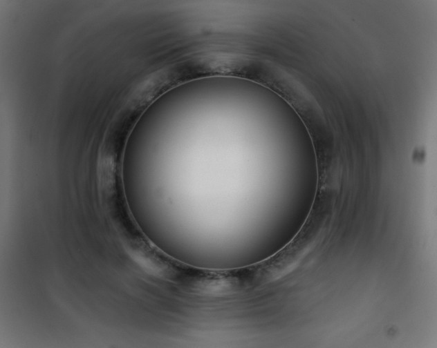 X0000101450646200807071407