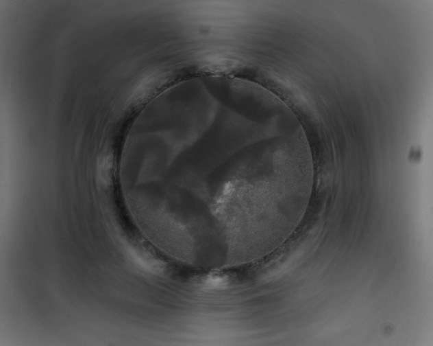X0000101450647200807071407