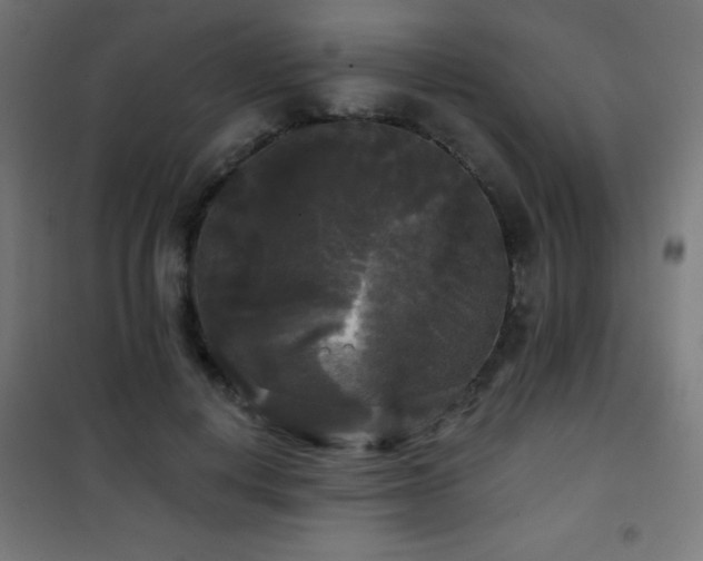 X0000101450648200807071407