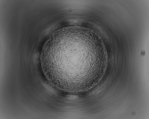X0000101450649200807071407