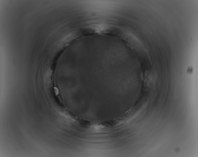 X0000101450650200807071407