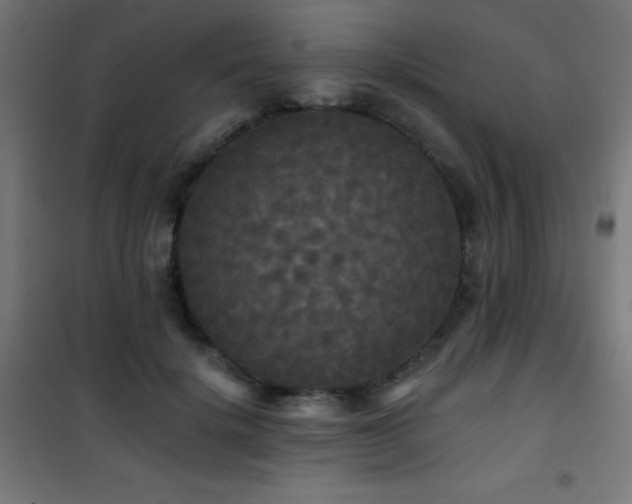 X0000101450652200807071407