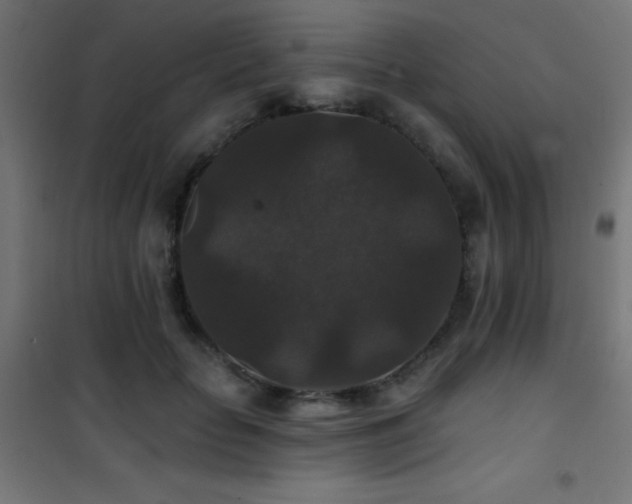 X0000101450653200807071407