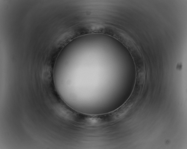 X0000101450654200807071407
