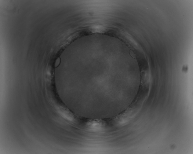 X0000101450655200807071407