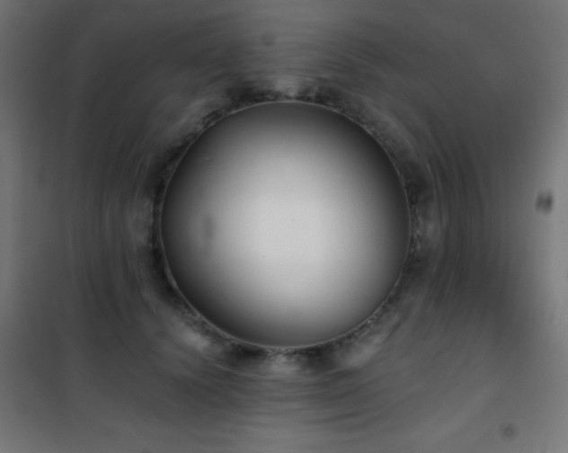 X0000101450656200807071407