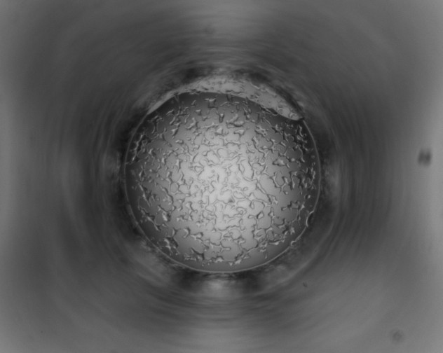 X0000101450657200807071407