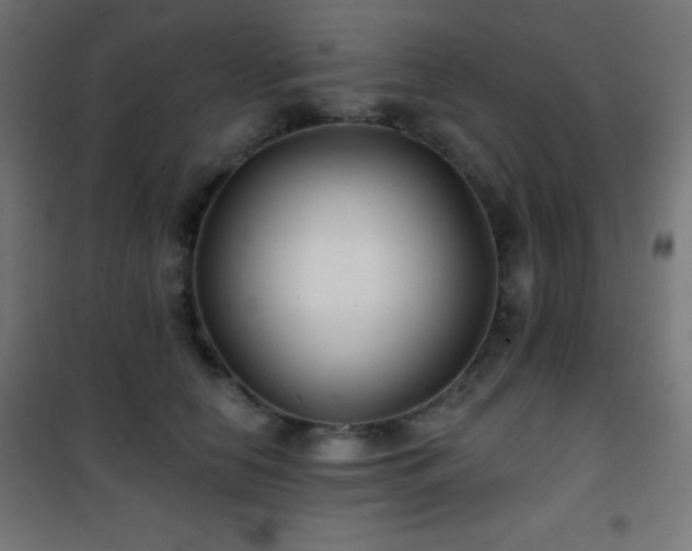 X0000101450658200807071407