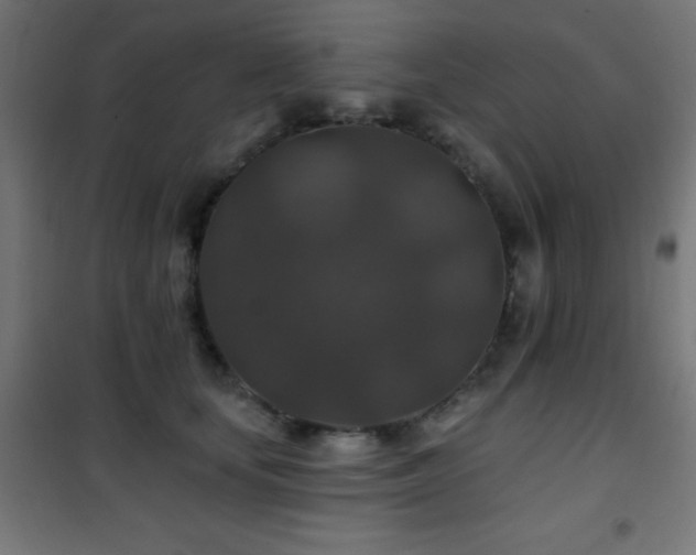 X0000101450659200807071407