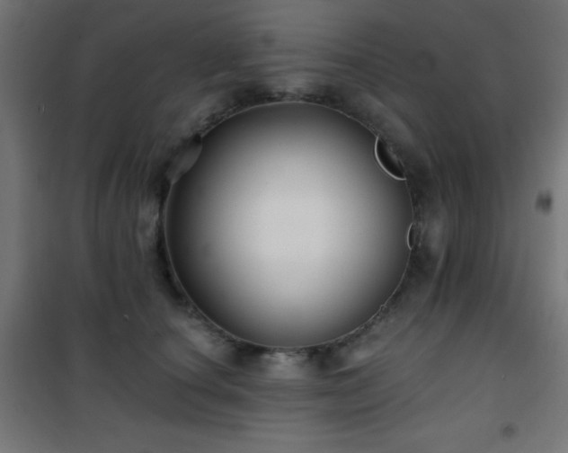 X0000101450660200807071407
